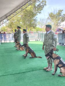 IMG-20260803-WA0015(1)